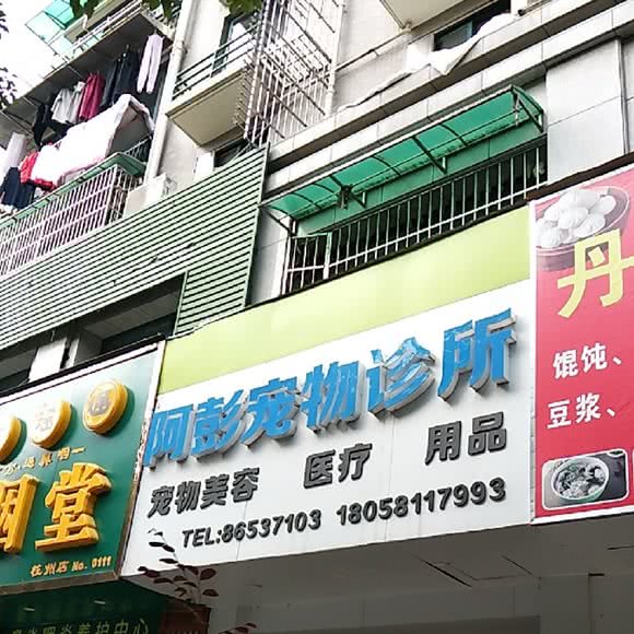 阿彭宠物诊所:杭州市上城区城东附近
