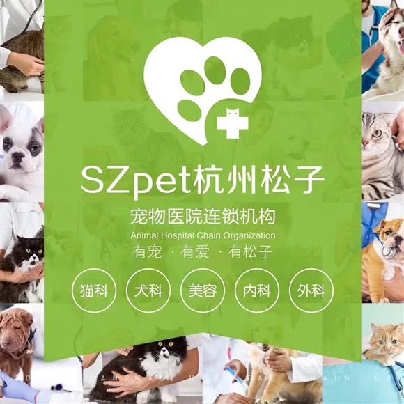 松子宠物医院·内科·猫科(潮王分院):杭州市上城区城东附近