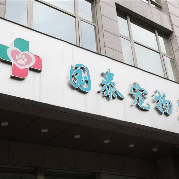 国泰宠物医院:杭州市上城区城东附近