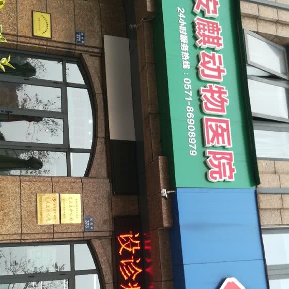 安麒动物医院:杭州市上城区城东附近