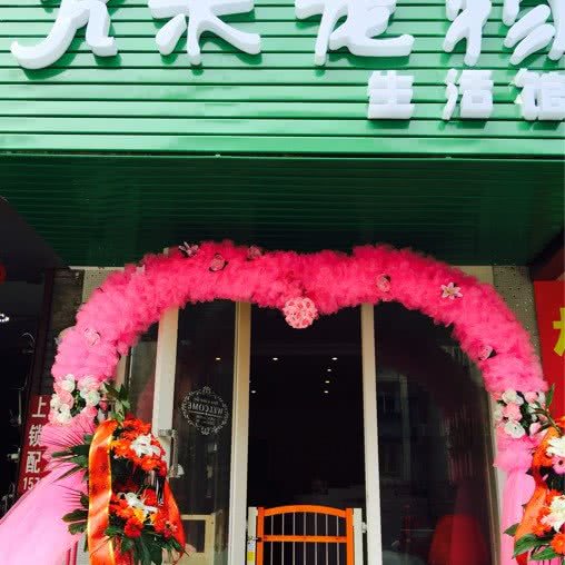 k米宠物生活馆:杭州市上城区浙一医院/庆春路沿线附近