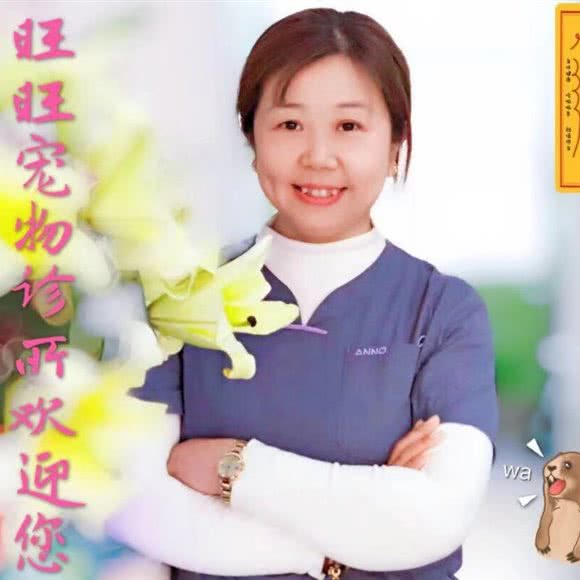 旺旺狗狗诊所:北京城区顺义区顺义附近