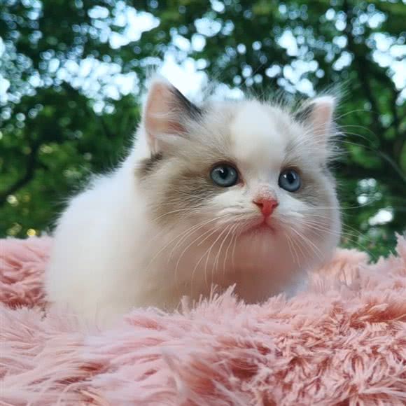 与TA时光宠物生活馆(环城东路总店):杭州市上城区浙一医院/庆春路沿线附近