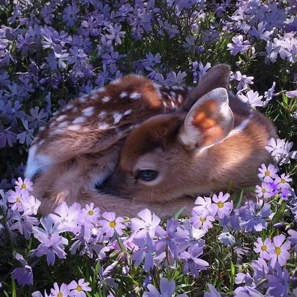 Mypet麦派高端萌宠乐园咖:杭州市上城区浙一医院/庆春路沿线附近