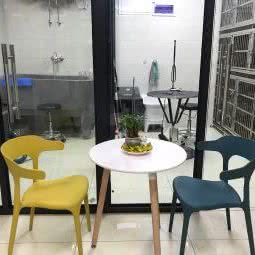 哼唧宠物:杭州市上城区吴山广场/河坊街附近