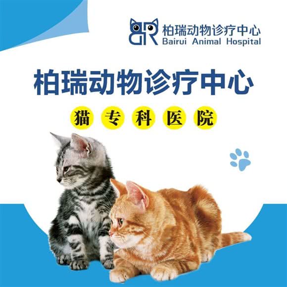 柏瑞动物诊疗中心.猫专科医院:北京城区顺义区顺义附近