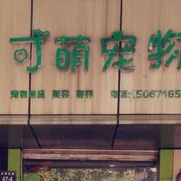 可萌宠物:杭州市上城区钱江新城/四季青附近