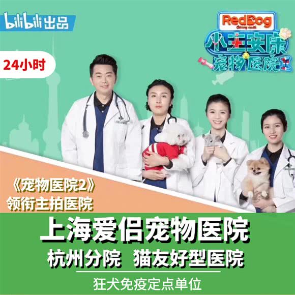 上海爱侣宠物医院  24小时(杭州分院):杭州市上城区钱江新城/四季青附近