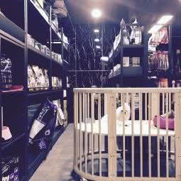 汪夫人宠物会所:杭州市上城区复兴路沿线/南星附近