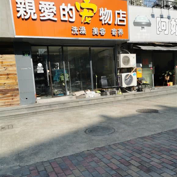 亲爱的宠物店:杭州市上城区复兴路沿线/南星附近