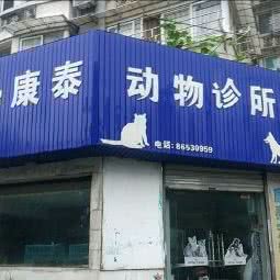 康泰宠物诊所:杭州市上城区城站火车站/浙二医院附近