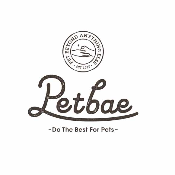 抱抱日志·Petbae:杭州市上城区万泰城附近