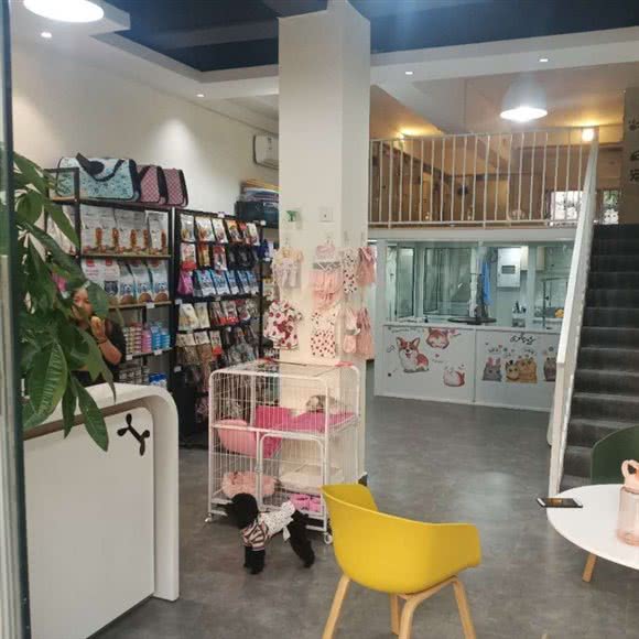 萌宠主题乐园:杭州市上城区新塘路/秋涛路沿线附近