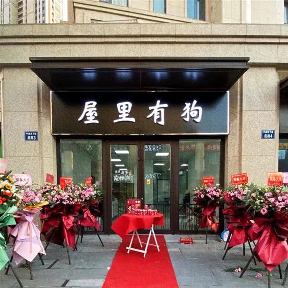 屋里有狗宠物工作室:杭州市上城区新塘路/秋涛路沿线附近