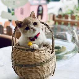 窝里宠(秋涛北路店):杭州市上城区新塘路/秋涛路沿线附近