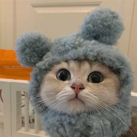 陈喵纪(丁桥天街店):杭州市上城区丁桥附近