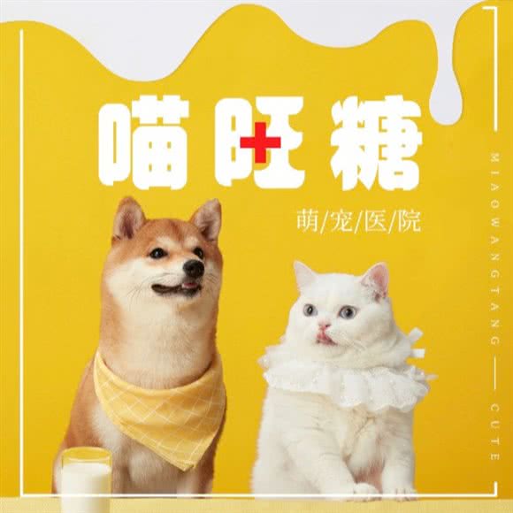 喵旺糖动物医院:北京城区顺义区顺义附近