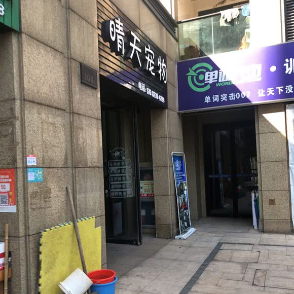 晴天宠物:杭州市上城区九堡新天地文化创意园附近