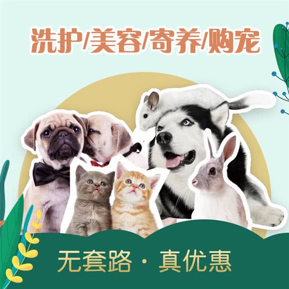 椿喵宠物生活馆:杭州市上城区九堡新天地文化创意园附近