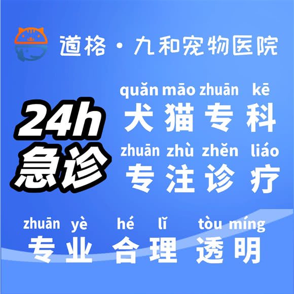 九和宠物医院:杭州市上城区九堡新天地文化创意园附近