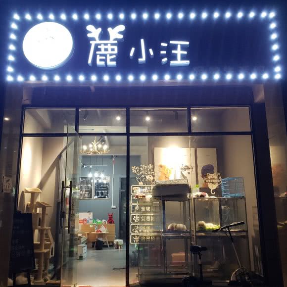 鹿小汪宠物生活馆(钱潮路店):杭州市上城区艮山路附近
