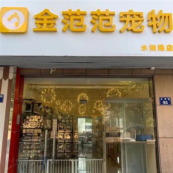 金范范宠物(水湘店):杭州市上城区凤起东路附近