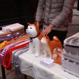 居宠屋:杭州市上城区笕桥附近