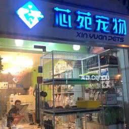 芯苑宠物:杭州市拱墅区凤起路沿线附近