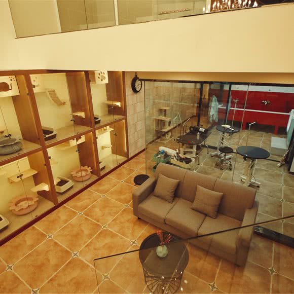 TIMO宠物馆:杭州市拱墅区朝晖地区附近