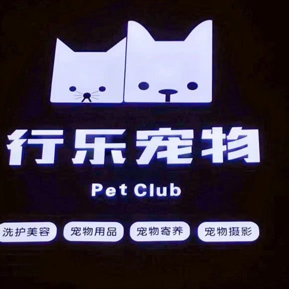 行乐狗狗:杭州市拱墅区湖墅南路附近