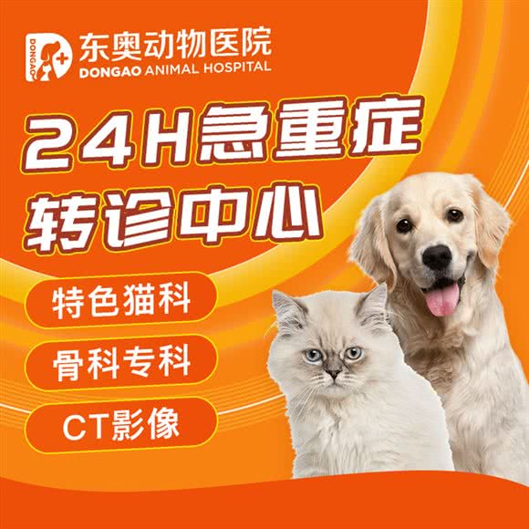 东奥动物医院·CT·骨科中心:杭州市拱墅区城西银泰城附近