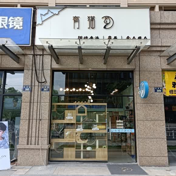 有猫:杭州市拱墅区拱宸桥/上塘附近