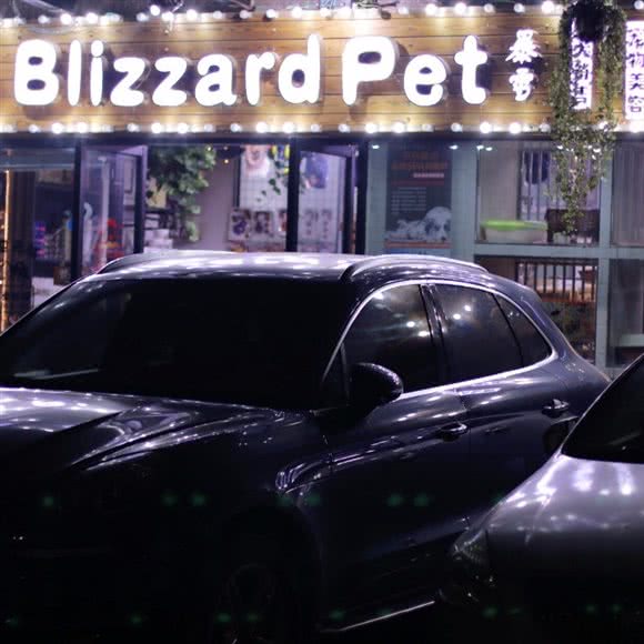 Blizzard pet 暴雪:杭州市拱墅区西湖文化广场附近
