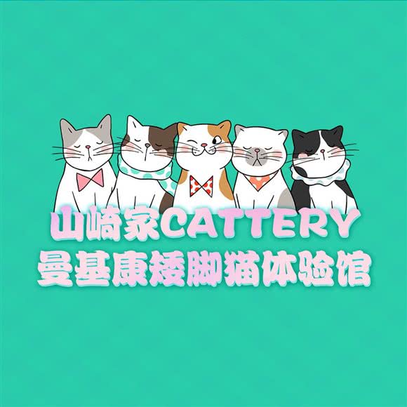 山崎家Cattery家庭式猫咪生活馆:杭州市拱墅区新天地附近