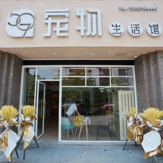 507·宠物生活馆:杭州市拱墅区新天地附近