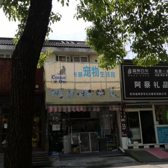 卡萌宠物生活馆:杭州市拱墅区大关附近