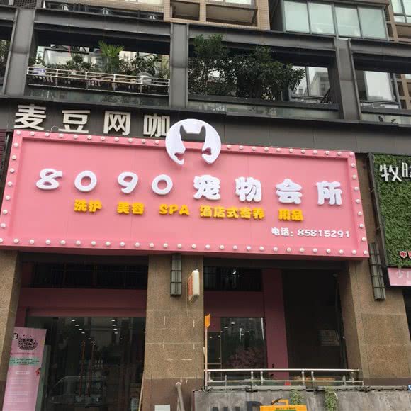 8090宠物会所:杭州市拱墅区西联广场附近