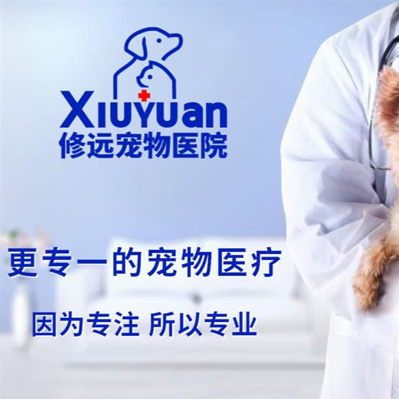 修远 ? 九久猫专科24h宠物医院(下城区西文街店):杭州市拱墅区西联广场附近