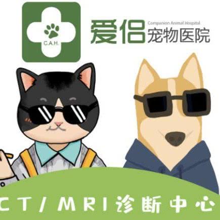 杭州佩豪宠物医院:杭州市拱墅区北景园附近