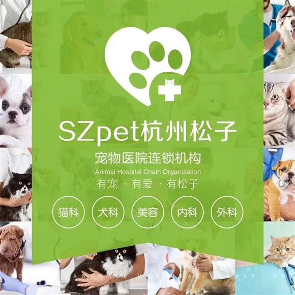 松子宠物医院·猫科·24小时·骨科中心(万达店):杭州市拱墅区北部新城附近