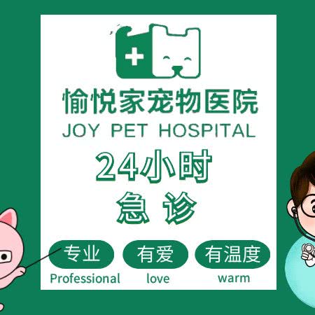 愉悦家宠物医院(万达分院):杭州市拱墅区北部新城附近