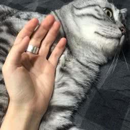 萌珑宠物:杭州市拱墅区运河广场附近