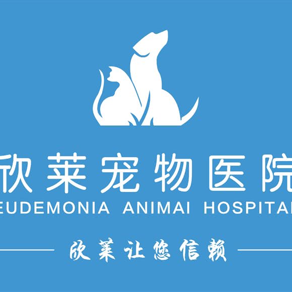 欣莱动物医院:杭州市拱墅区D32天阳购物中心附近