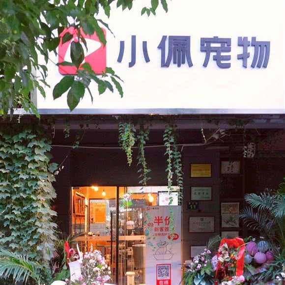 PETKIT小佩宠物狗:杭州市西湖区古墩路沿线附近