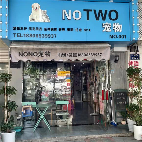 No two宠物生活馆:杭州市西湖区古墩路沿线附近