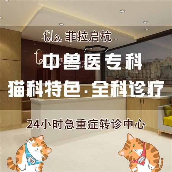 菲拉启杭宠物诊疗中心·中兽医24h急重症转诊中心猫科特色:杭州市西湖区古墩路沿线附近