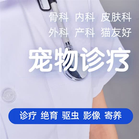 欢欢小动物诊疗中心:杭州市西湖区古墩路沿线附近