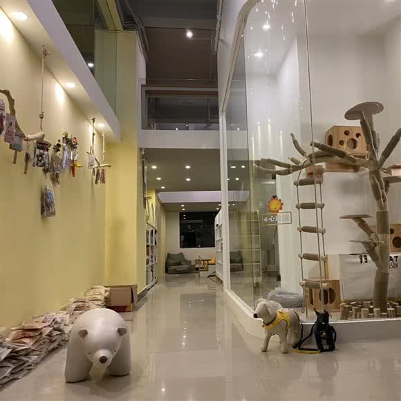 富贵儿宠物生活馆:杭州市西湖区高新文教区附近