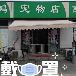 宠物店:北京城区顺义区马坡牛栏山镇附近