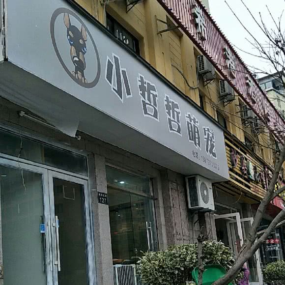 小哲哲宠物:杭州市西湖区高新文教区附近